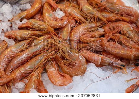 Freshly Caught Depp-water Rose Shrimps Or Parapenaeus Longirostris On The Counter In A Greek Fish Sh