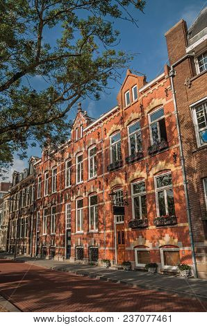 Empty Street With Semidetached Brick Houses, Shade Of Trees At Sunset And Blue Sky In S-hertogenbosc
