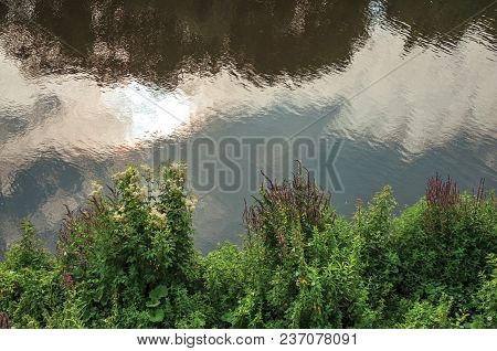Undergrowth And Flowers On The Bank Of The River Dommel With Clouds Reflected In Its Calm Waters At 