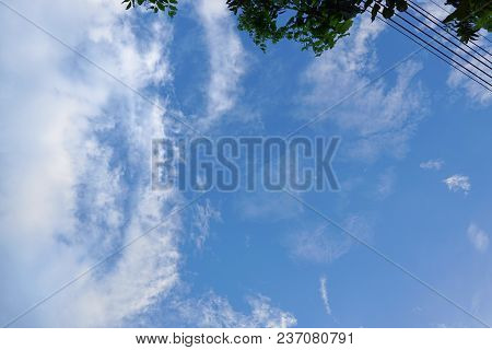 Leaf And Cable On  Blue Sky And Cloud Background. Beautiful Nature Blue Sky With Trees, Looking Up B