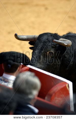corrida