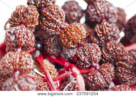 Macro Imaging With Focus On Spiritual Rudraksha Beads Garland