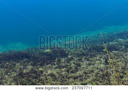 Underwater Landscape For Scuba Diving/ Blue Sea Clear Water Surface Background. Sea Ripples./ Blue S