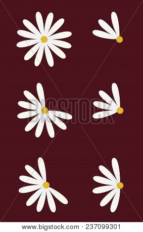 Set Of Six Daisy As Pie Diagrams For A Presentation Or An Infographic, 100, 75, 66, 50, 33 And 25 Pe