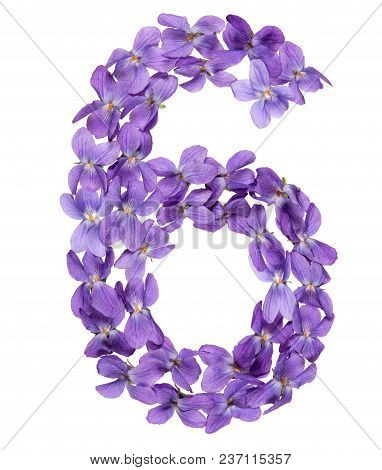 Arabic Numeral 6, Six, From Flowers Of Viola, Isolated On White Background