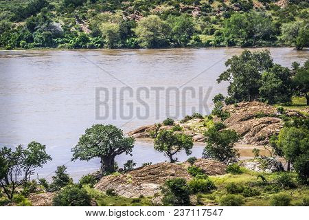 Boundary River Between South Africa And Zimbabwe  In Mapungubwe National Park, South Africa