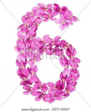 Arabic Numeral 6, Six, From Flowers Of Viola, Isolated On White Background
