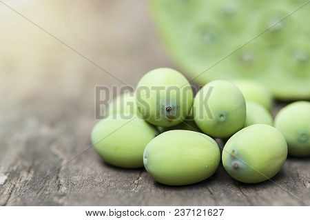 Lotus Seed Or Lotus Nut. The Traditional Chinese And Indian Medicine. Good For Healthy And Can Eat B