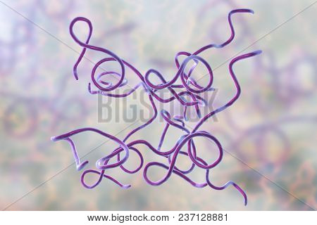 Lyme Disease Bacteria, Borrelia Burgdorferi, 3d Illustration