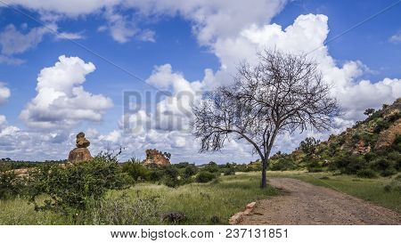 Boulder Landscape In Mapungubwe National Park, South Africa