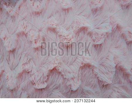 Wool Fabrics. The Pink Wool. Wool Is Soft.