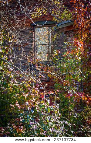 An Old Abondoned Factory Surrounded By An Overgrowth Of Trees In Historic Smithville Village In New 