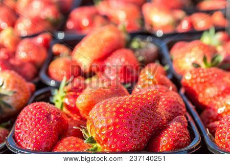 Boxes Of Fresh Delicious Ripe Red Strawberries