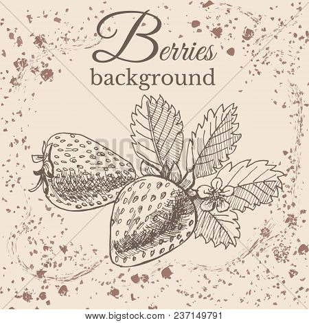 Hand Drawn Sketch With  Strawberry On Sepia Vintage Background. Vector Illustration.