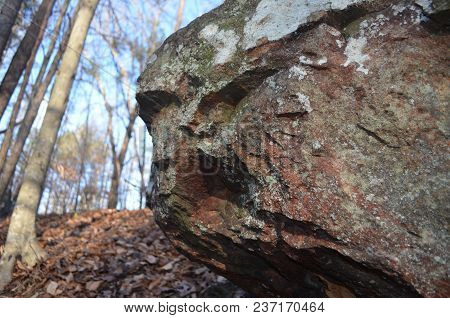 Big Rock With Lichen On Its Surface In The Woods.
