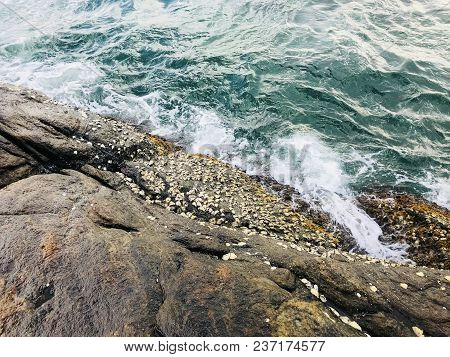 Beautiful Place In Sri Lanka Beruwala Beach Sea Background Image Beruwala Beach Is A Travel And Vaca