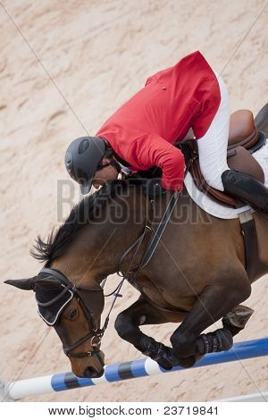 VALENCIA, Hiszpania - 8 maja: Rider Cayetano M. de Irujo, Horse Gold Edition, Hiszpania w globalnej Champio