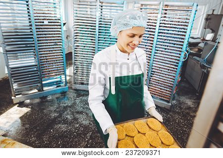 Fish Seafood Factory Industry Production Processing Equipment