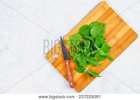Leaves Of Fresh Green Nettle On A Cutting Wooden Board With A Knife On A Gray Concrete Table. Top Vi