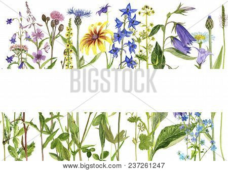 Template With Watercolor Drawing Palnts And Flowers, Hand Drawn Illustration