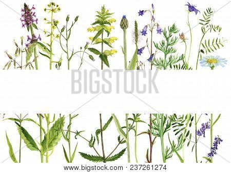 Template With Watercolor Drawing Palnts And Flowers, Hand Drawn Illustration