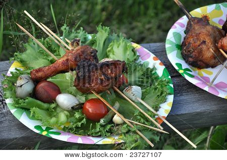 Picnic con grigliate di carne e verdure