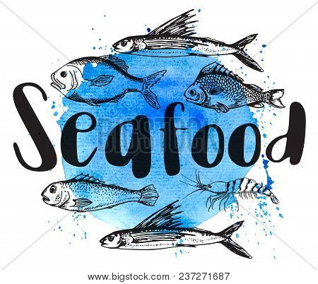 Vintage Illustration With Shrimp And Fish On A Blue Watercolor Bsckground. Seafood Lettering.