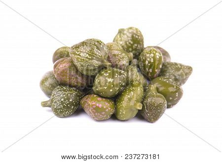 Capers Isolated On White Background. Pickled Capers. Canned Capers.