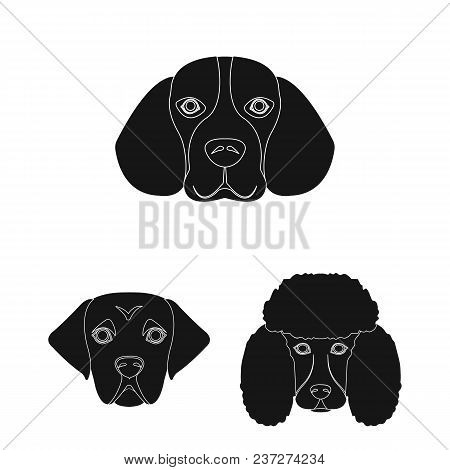 Dog Breeds Black Icons In Set Collection For Design.muzzle Of A Dog Vector Symbol Stock  Illustratio