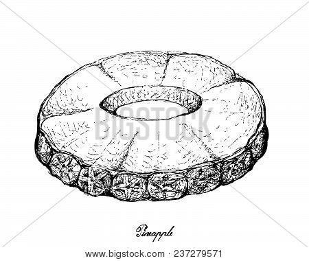 Fresh Fruits, Illustration Of Hand Drawn Sketch Of Sliced Pineapple Or Ananas Comosus Fruits Isolate