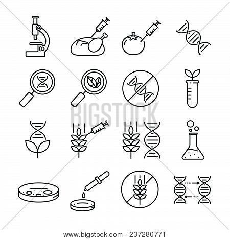 Set Of Gmo Related Vector Line Icons. Contains Such Icon As Chemicals, Environment, Environmental Sa