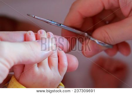 Cutting Nails To A Newborn Baby A Little Mother Care.