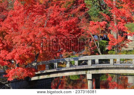 A Bridge At The Hojo Pond By The Eikando Zenrin-ji Temple In Kyoto, Japan