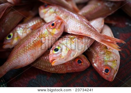 Close up di pesce sul display in un suq/mercato del pesce (Muscat, Oman)