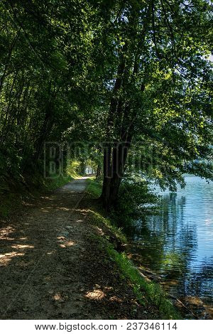 Forest Path Along The Coast Of The Lake Of Levico Terme (lago Di Levico) In Valsugana, Trentino Alto