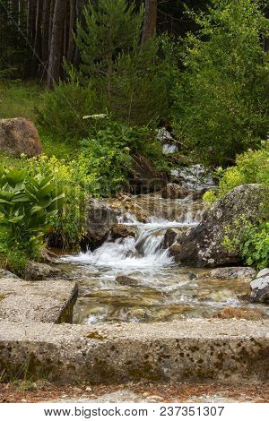 Picturesque View Of Rocky Stream In The Forest