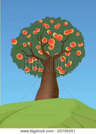 Perzikboom