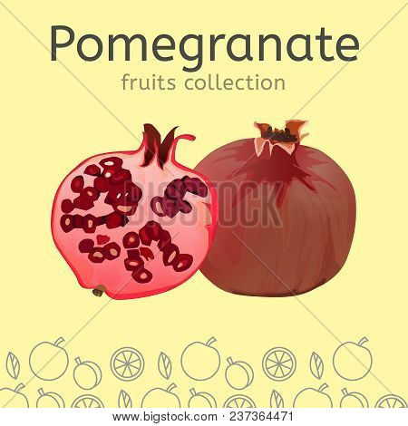 The Pomegranate Image Isolated On A Light Background. Fruits Collection. Editable Vector Illustratio