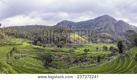 Bali: Pulau Bali, Provinsi Bali) Is An Island And Province Of Indonesia.