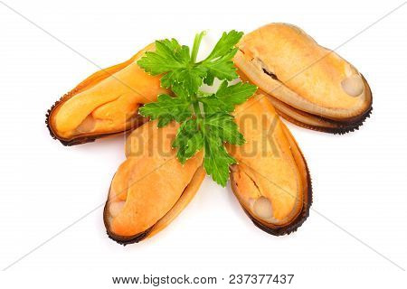 Four Mussel With Parsley Leaf Isolated On White Background.