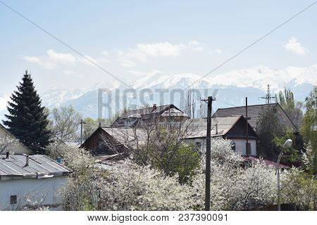 Spring Dwelling With Trees In The Background Of Mountains