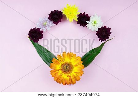 Flower Flat Lay Flower Fream Romantic Concept