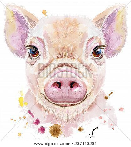 Cute Piggy. Pig For T-shirt Graphics. Watercolor Pink Mini Pig Illustration