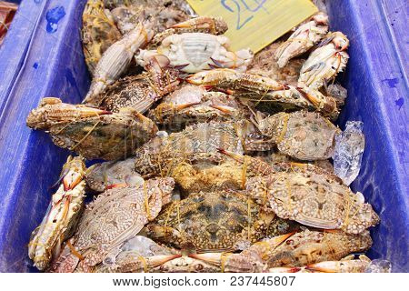 Crab On Ice For Cooking In Street Food