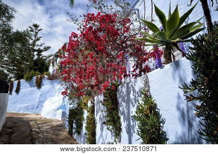Nijar, a lovely and white village in Andalusia, Spain. Mediterranean destination near the natural park of Cabo de Gata