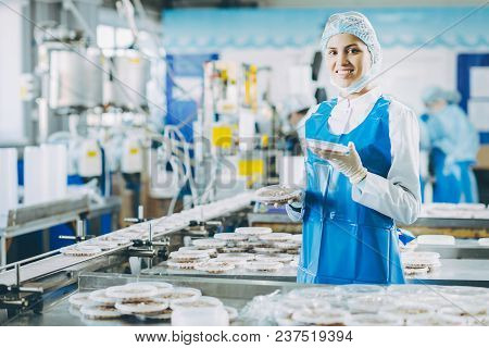 Fish Seafood Factory Industry Production Processing Equipment