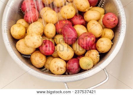 Small Potatoes