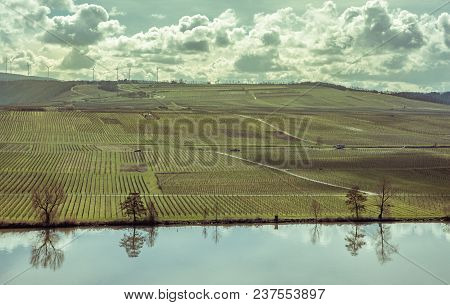 Moselle Landscape At Piesport Vineyards Spring Landscape