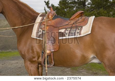 Hest med Western sadel