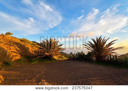 Amazing Sunset Landscape View To Famous Maska Canyon In Rural Park Teno On Tenerife Island Spain